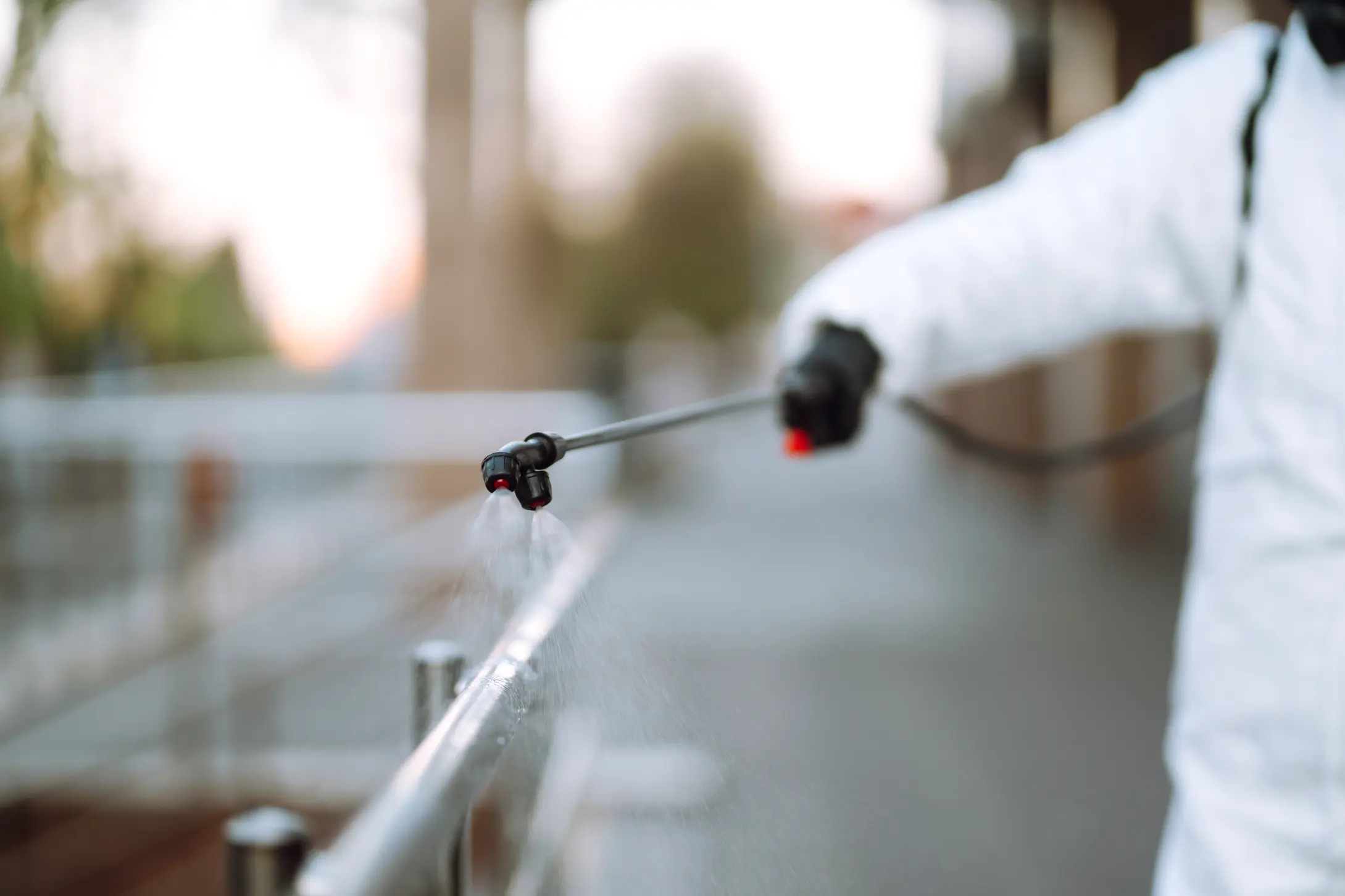 Read more about the article Why Crawling Insect Control Is Essential for a Healthy Living Environment